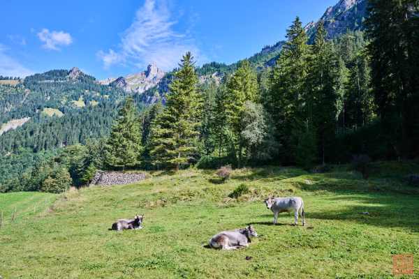 2309-Kandersteg_03