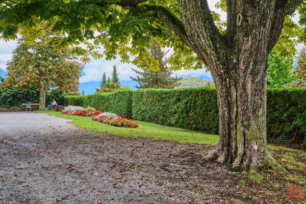 2309-Speiz-Castle_04