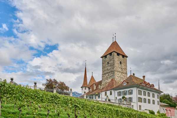 2309-Speiz-Castle_30