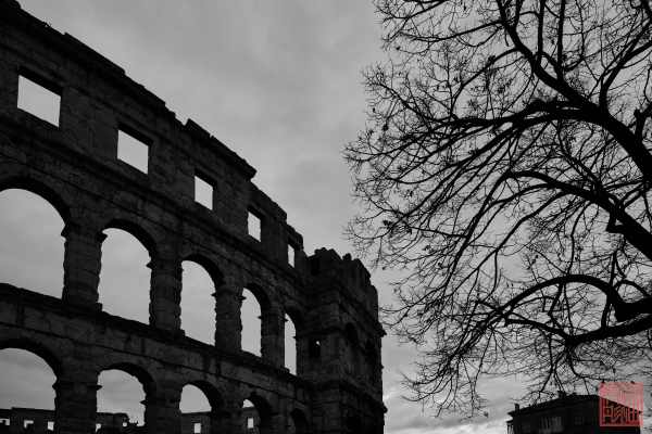 2402-Pula_24