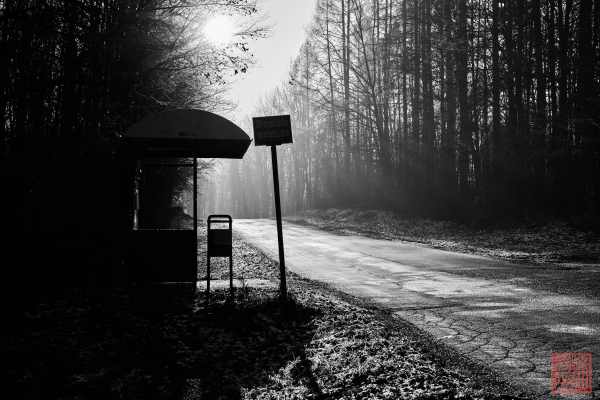 2401-roadside_01