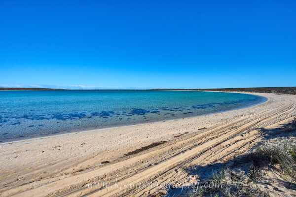 2406-SharkBay_WA_09