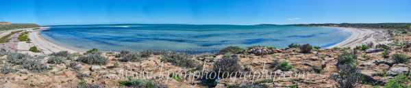 2406-SharkBay_WA_19