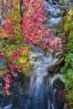 2208_BanffNP_172