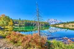 2208_BanffNP_209