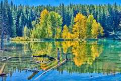 2208_BanffNP_216