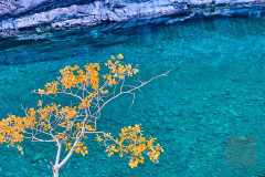 2208_BanffNP_271