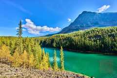 2208_BanffNP_376