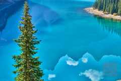 2208_BanffNP_444