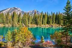 2208_BanffNP_462