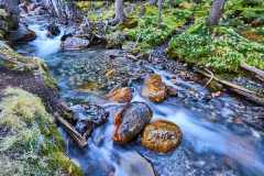 2208_BanffNP_488