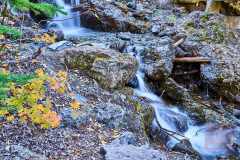 2208_BanffNP_498