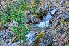 2208_BanffNP_500