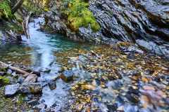 2208_BanffNP_506