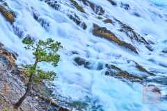 2208_BanffNP_541