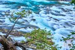 2208_BanffNP_542