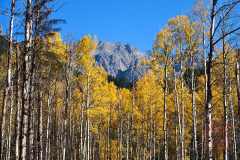 2208_BanffNP_570