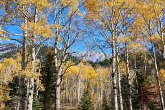 2208_BanffNP_585