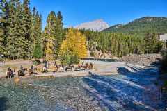 2208_BanffNP_626