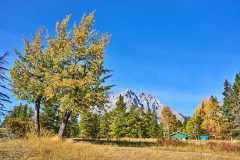 2208_BanffNP_634