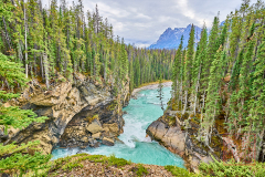 2208_JasperNP_100