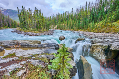 2208_JasperNP_105