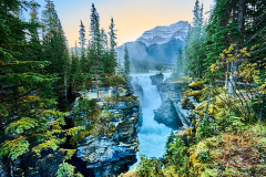 2208_JasperNP_119
