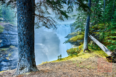 2208_JasperNP_121