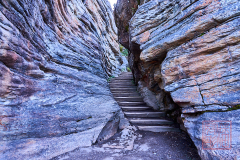 2208_JasperNP_133
