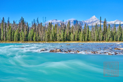 2208_JasperNP_168