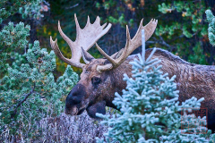 2208_JasperNP_199
