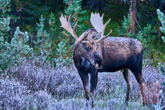 2208_JasperNP_204