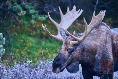 2208_JasperNP_211