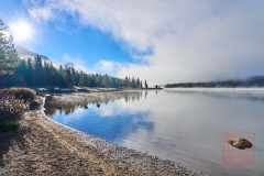 2208_JasperNP_221