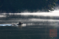 2208_JasperNP_228