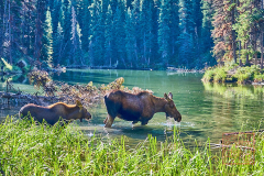 2208_JasperNP_235