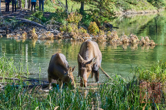 2208_JasperNP_239