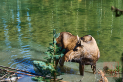 2208_JasperNP_244