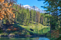 2208_JasperNP_247