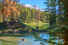 2208_JasperNP_251
