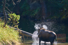 2208_JasperNP_263