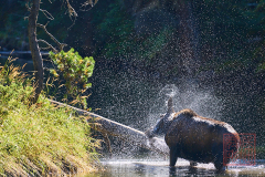 2208_JasperNP_266