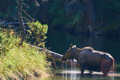2208_JasperNP_271