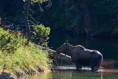 2208_JasperNP_284