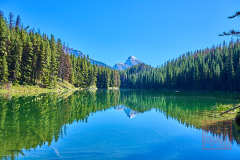 2208_JasperNP_291