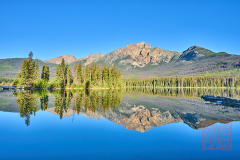 2208_JasperNP_304