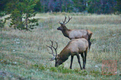 2208_JasperNP_319