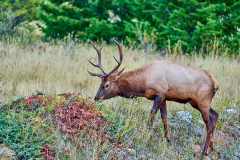 2208_JasperNP_330