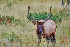 2208_JasperNP_331