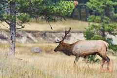 2208_JasperNP_345